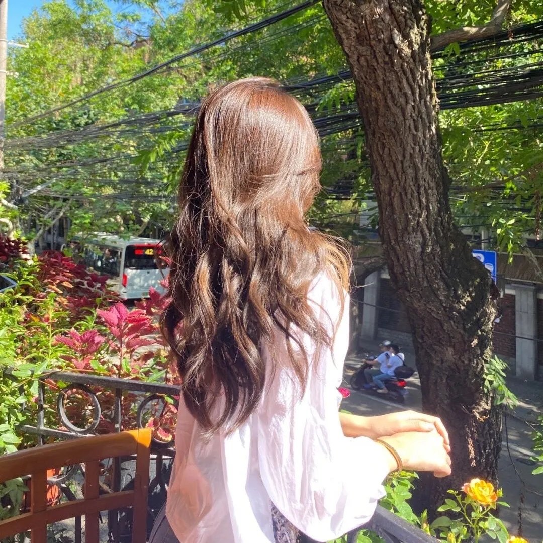 街上无树